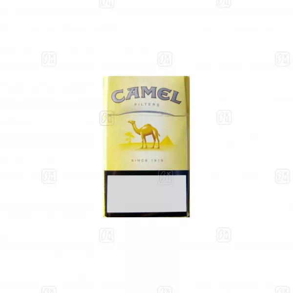 96 CAMEL YELLOW_11zon